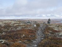 N, Buskerud, Hol, Tuva turisthytte 80, Saxifraga-Willem van Kruijsbergen