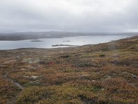 N, Buskerud, Hol, Tuva turisthytte 87, Saxifraga-Willem van Kruijsbergen