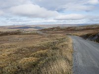 N, Buskerud, Hol, Tuva turisthytte 90, Saxifraga-Willem van Kruijsbergen