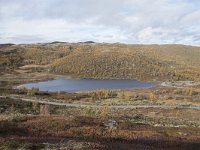 N, Buskerud, Hol, Tuva turisthytte 92, Saxifraga-Willem van Kruijsbergen