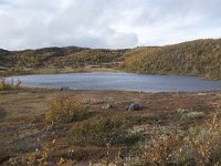 N, Buskerud, Hol, Tuva turisthytte 94, Saxifraga-Willem van Kruijsbergen