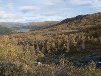 N, Buskerud, Hol, Tuva turisthytte 95, Saxifraga-Willem van Kruijsbergen