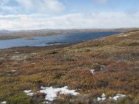 N, Buskerud, Hol, Tuva turisthytte 99, Saxifraga-Annemiek Bouwman