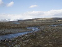 N, Hordaland, Eidfjord, Dyranut 13, Saxifraga-Willem van Kruijsbergen