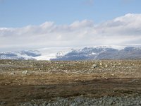 N, Hordaland, Eidfjord, Dyranut 18, Saxifraga-Willem van Kruijsbergen