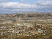 N, Hordaland, Eidfjord, Dyranut 19, Saxifraga-Willem van Kruijsbergen