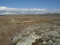 N, Hordaland, Eidfjord, Dyranut 29, Saxifraga-Annemiek Bouwman