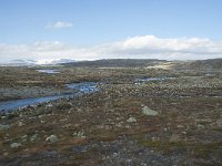 N, Hordaland, Eidfjord, Dyranut 32, Saxifraga-Annemiek Bouwman