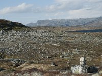 N, Hordaland, Eidfjord, Repsetjornane 13, Saxifraga-Annemiek Bouwman