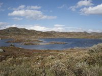 N, Hordaland, Eidfjord, Repsetjornane 3, Saxifraga-Willem van Kruijsbergen