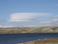 N, Hordaland, Eidfjord, Repsetjornane 4, Saxifraga-Willem van Kruijsbergen