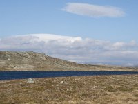 N, Hordaland, Eidfjord, Repsetjornane 6, Saxifraga-Willem van Kruijsbergen