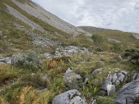 N, More og Romsdal, Fraena, Trollkyrkja 40, Saxifraga-Willem van Kruijsbergen