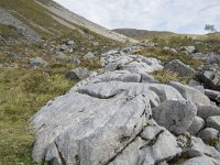 N, More og Romsdal, Fraena, Trollkyrkja 41, Saxifraga-Willem van Kruijsbergen