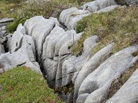 N, More og Romsdal, Fraena, Trollkyrkja 47, Saxifraga-Willem van Kruijsbergen