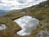 N, More og Romsdal, Fraena, Trollkyrkja 51, Saxifraga-Willem van Kruijsbergen