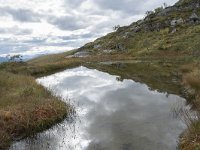 N, More og Romsdal, Fraena, Trollkyrkja 52, Saxifraga-Willem van Kruijsbergen