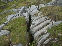 N, More og Romsdal, Fraena, Trollkyrkja 70, Saxifraga-Annemiek Bouwman