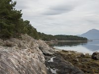 N, More og Romsdal, Molde, Bolsoya 12, Saxifraga-Willem van Kruijsbergen