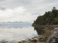 N, More og Romsdal, Molde, Bolsoya 13, Saxifraga-Willem van Kruijsbergen