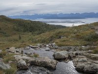 N, More og Romsdal, Molde, Tusenarsvarden 16, Saxifraga-Willem van Kruijsbergen