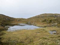 N, More og Romsdal, Molde, Tusenarsvarden 19, Saxifraga-Willem van Kruijsbergen