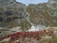 N, More og Romsdal, Rauma, Alnesvatnet 60, Saxifraga-Annemiek Bouwman