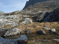 N, More og Romsdal, Rauma, Alnesvatnet 63, Saxifraga-Annemiek Bouwman