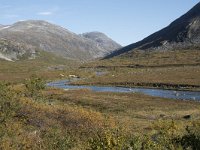 N, More og Romsdal, Rauma, Langfjelldalen 5, Saxifraga-Willem van Kruijsbergen