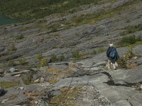 N, Nordland, Bodo, Svartisen 1, Saxifraga-Marijke Verhagen