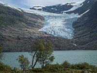 N, Nordland, Bodo, Svartisen 2, Saxifraga-Marijke Verhagen