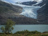 N, Nordland, Bodo, Svartisen 3, Saxifraga-Marijke Verhagen