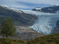 N, Nordland, Bodo, Svartisen 4, Saxifraga-Marijke Verhagen