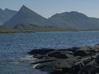 N, Nordland, Flakstad, Fredvang 12, Saxifraga-Jan van der Straaten