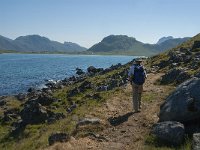 N, Nordland, Flakstad, Fredvang 13, Saxifraga-Jan van der Straaten