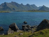 N, Nordland, Flakstad, Fredvang 14, Saxifraga-Jan van der Straaten