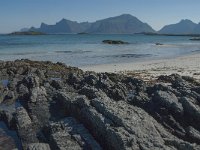 N, Nordland, Flakstad, Fredvang 2, Saxifraga-Jan van der Straaten