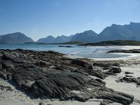 N, Nordland, Flakstad, Fredvang 25, Saxifraga-Marijke Verhagen