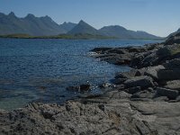 N, Nordland, Flakstad, Fredvang 8, Saxifraga-Jan van der Straaten