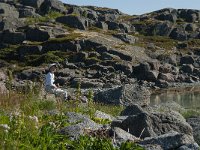 N, Nordland, Lodingen, Offersoy 5, Saxifraga-Jan van der Straaten