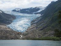 N, Nordland, Meloy, Svartisen 2, Saxifraga-Jan van der Straaten