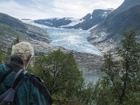 N, Nordland, Meloy, Svartisen 32, Saxifraga-Marijke Verhagen