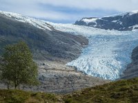 N, Nordland, Meloy, Svartisen 35, Saxifraga-Marijke Verhagen