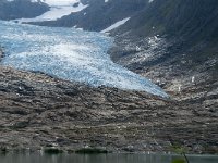 N, Nordland, Meloy, Svartisen 4, Saxifraga-Jan van der Straaten