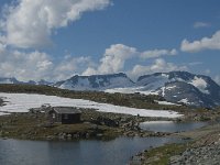 N, Oppland, Lom, Sognefjellet 1, Saxifraga-Jan van der Straaten