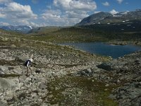 N, Oppland, Lom, Sognefjellet 15, Saxifraga-Jan van der Straaten