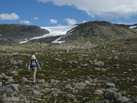 N, Oppland, Lom, Sognefjellet 31, Saxifraga-Jan van der Straaten