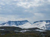 N, Oppland, Lom, Sognefjellet 39, Saxifraga-Jan van der Straaten