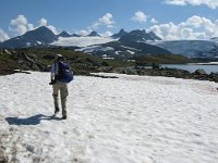 N, Oppland, Lom, Sognefjellet 4, Saxifraga-Jan van der Straaten