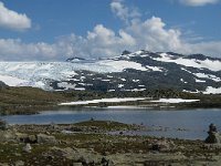 N, Oppland, Lom, Sognefjellet 45, Saxifraga-Jan van der Straaten